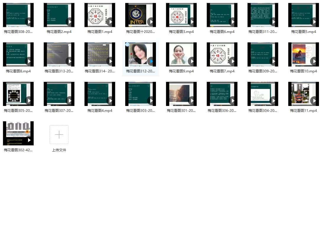 黄石易2020年梅花看图视频25集 百度云插图 黄石易2020年梅花看图视频25集 百度云插图