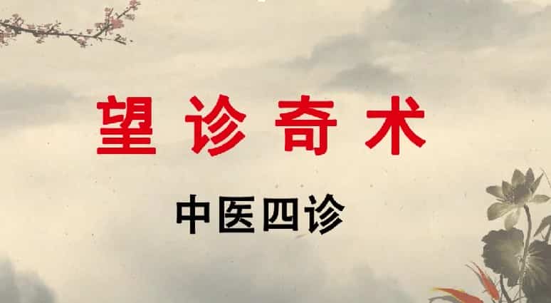 王栋博士望诊奇术 147集插图1