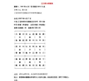 王力军大师案例插图 王力军大师案例插图