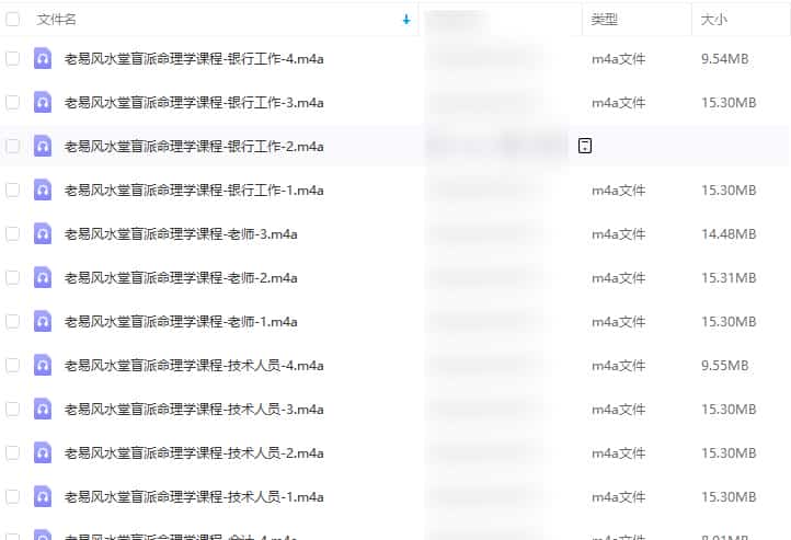 老易盲派职业专题课程录音31集插图