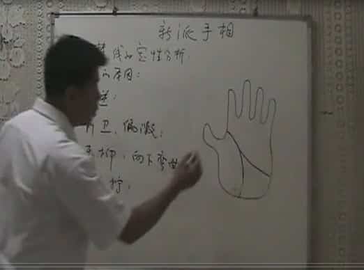 戴建华新派手相视频+资料全集 8视频插图 戴建华新派手相视频+资料全集 8视频插图