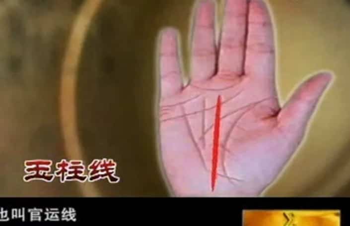 王晨霞-掌纹的秘密教程视频14集插图 王晨霞-掌纹的秘密教程视频14集插图