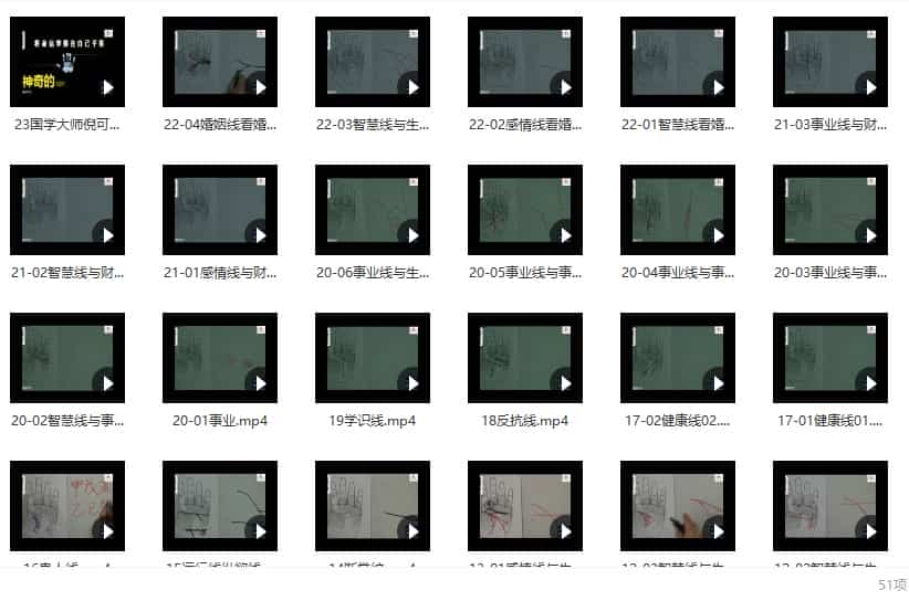 倪可老师手相掌纹视频 51集教程插图 倪可老师手相掌纹视频 51集教程插图