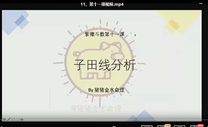 猪猪金水紫微斗数暑假班16合集插图