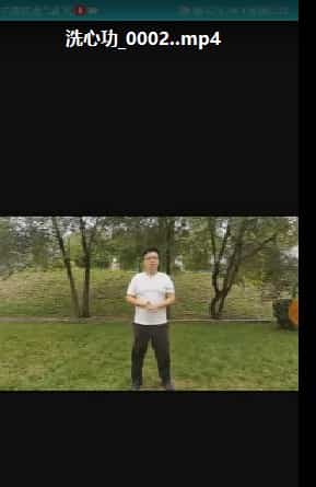 姜书洋 金刚洗心功 视频教学合集插图 姜书洋 金刚洗心功 视频教学合集插图