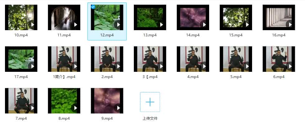 姜书洋五行坐桩功 视频教学讲解插图 姜书洋五行坐桩功 视频教学讲解插图