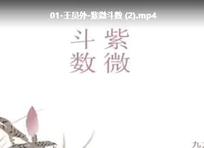 九龙道长推荐王员外紫微斗数课程 30集插图 九龙道长推荐王员外紫微斗数课程 30集插图