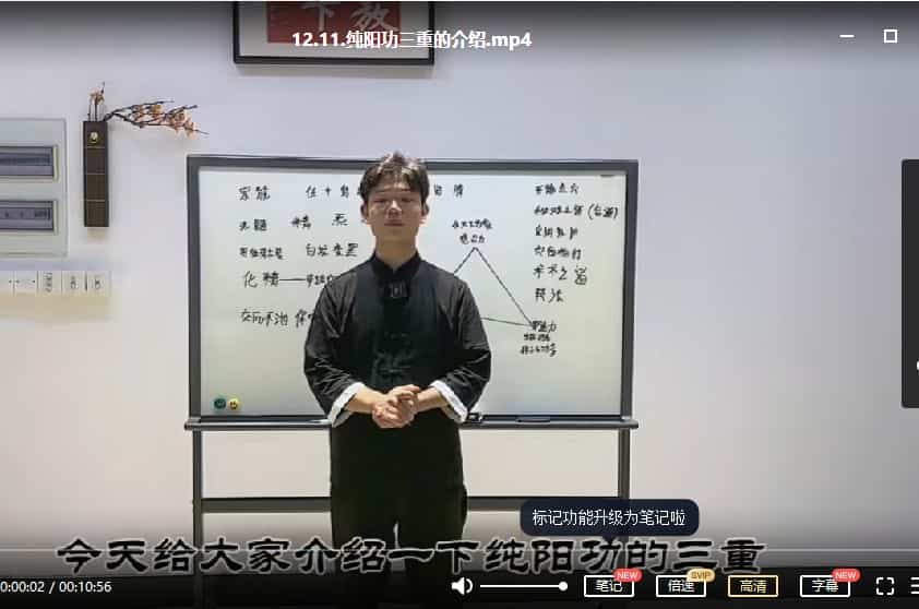 纯阳功三部 纯阳功一二三套课程视频合集共31集插图 纯阳功三部 纯阳功一二三套课程视频合集共31集插图