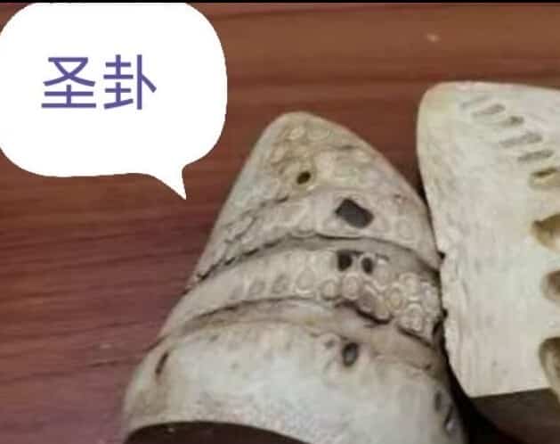 三斗老师法卦课四期插图 三斗老师法卦课四期插图