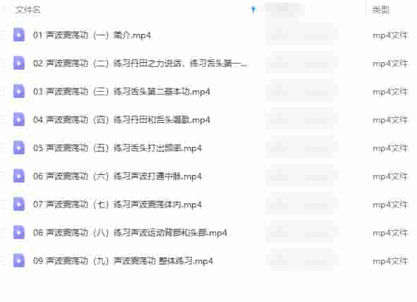 曾老师 声波震荡功插图1
