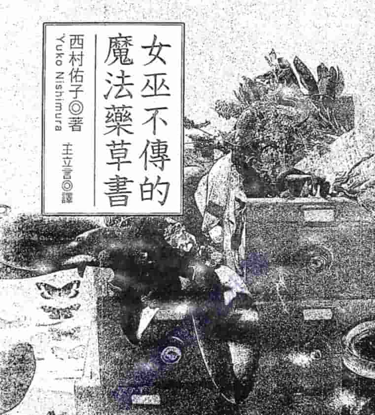 女巫不传的魔法草药书插图 女巫不传的魔法草药书插图
