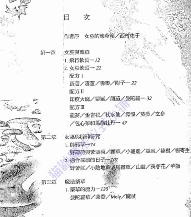 女巫不传的魔法草药书插图1 女巫不传的魔法草药书插图1
