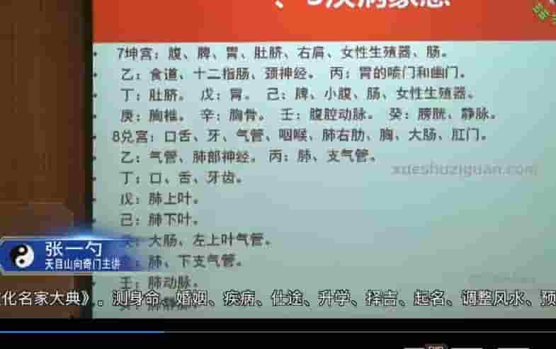 张一勺天目山向奇门视频教学课程插图