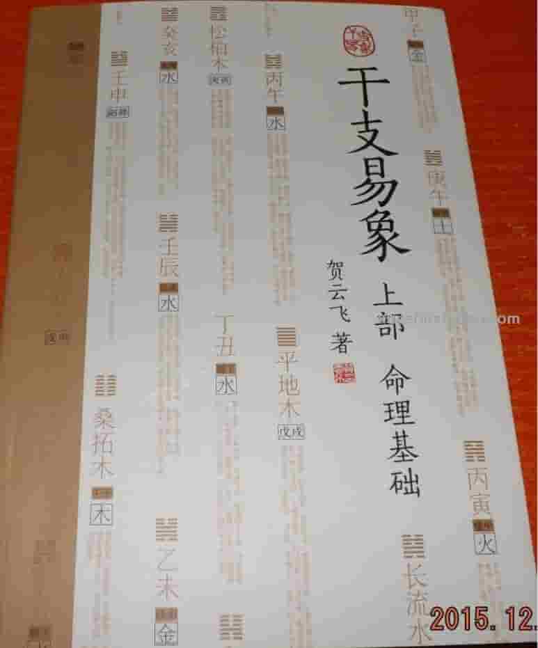 贺云飞《干支易象上部 命理基础》216页 中华命理入门精要插图
