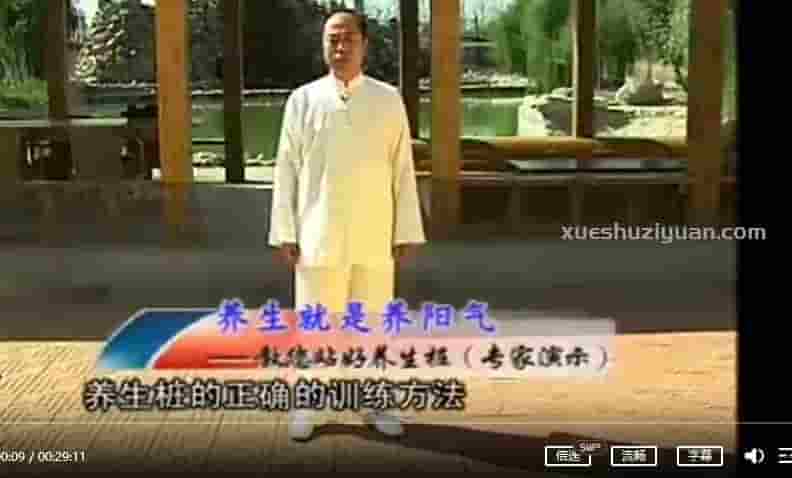 武国忠浑圆养生桩  站桩•养身桩•浑圆桩（3视频）插图