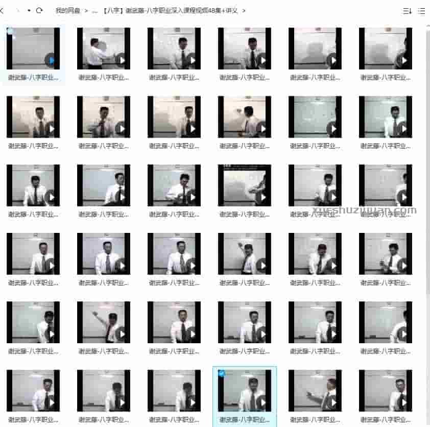 谢武藤 八字课程  谢武藤 八字职业深入课程视频48集+讲义插图