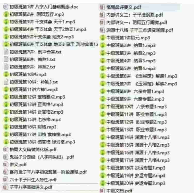 客舟堂子平命理初级录音文档+中级录音文档插图