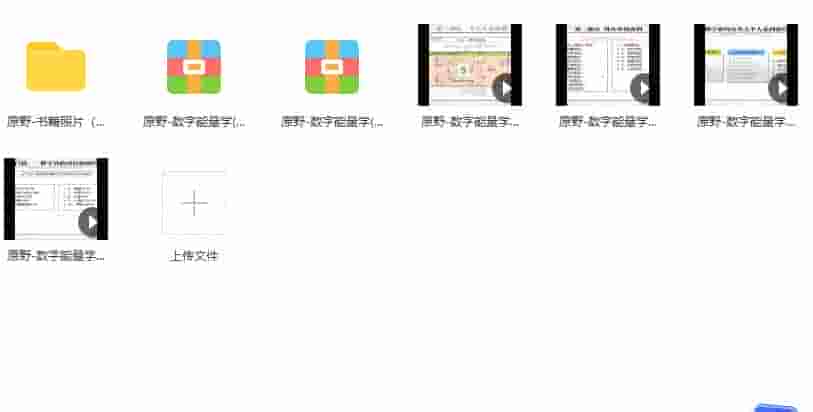 原野-数字能量学课程视频4集13小时+配套资料插图