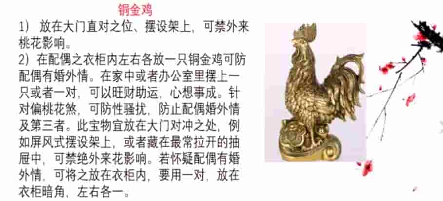 最新课程 曾勇四柱风水化解65集视频课程插图2