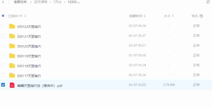 傅伟中峨嵋天罡指穴法视频演示全集视频+文档123云盘下载插图