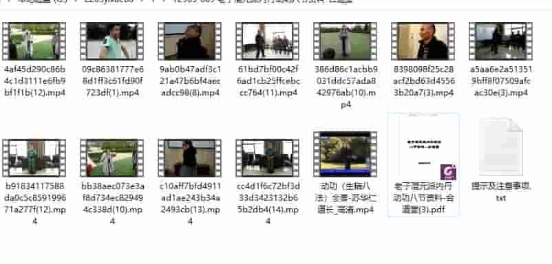 老子混元派内丹动功八节资料-合道堂123网盘下载插图1