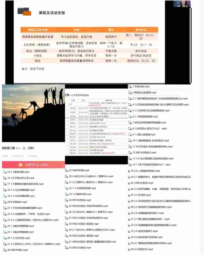 宋黛 生命能量进阶营二期（一、二、三阶）全56讲 原3500的【生命能疗量法】插图