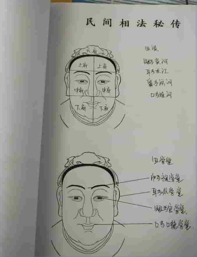 民间面相抄本《民间相法精断》插图 民间面相抄本《民间相法精断》插图