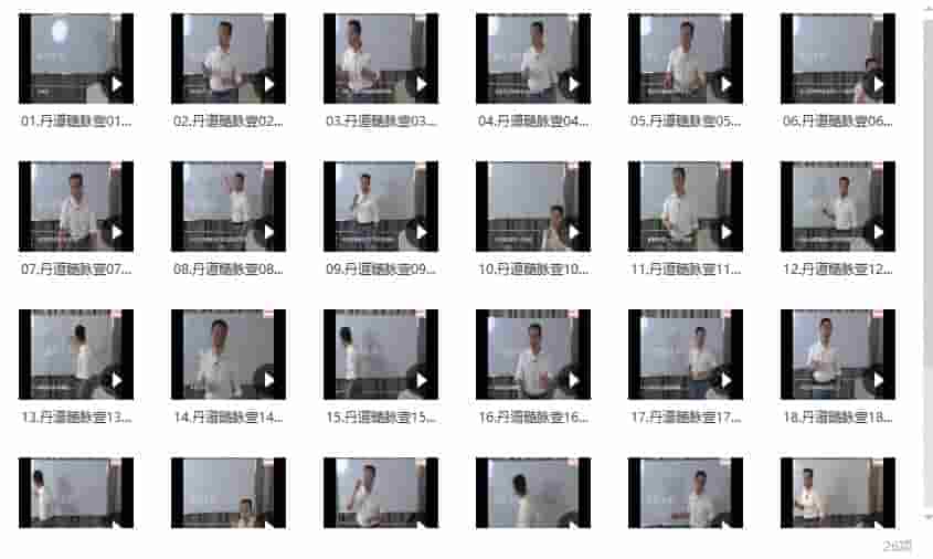 张翔 丹道髓脉▪壹26集插图1