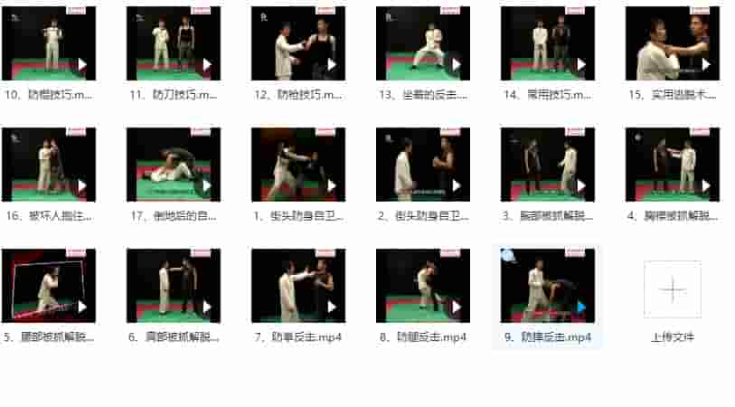 战防身术课程视频17集,示范各种防身技巧,无论男女均适用。插图 战防身术课程视频17集,示范各种防身技巧,无论男女均适用。插图