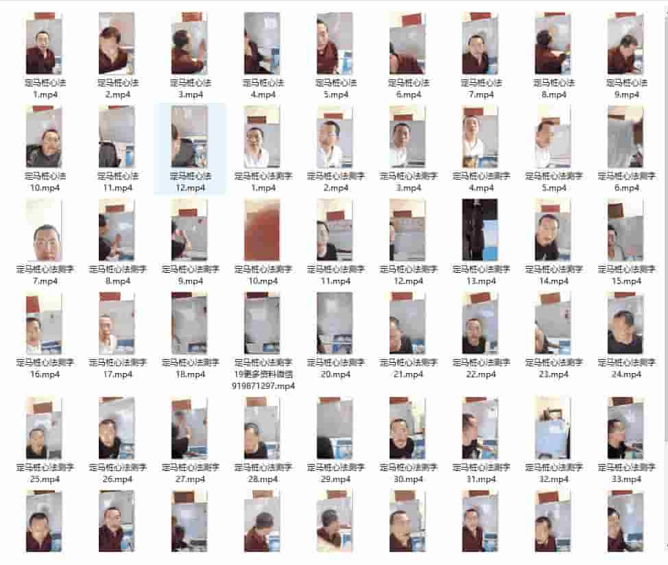 定马桩测字62集 定马桩相法系列课程插图