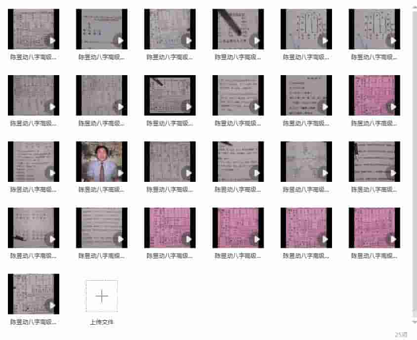 陈昱动-八字高级职业班视频24集插图 陈昱动-八字高级职业班视频24集插图